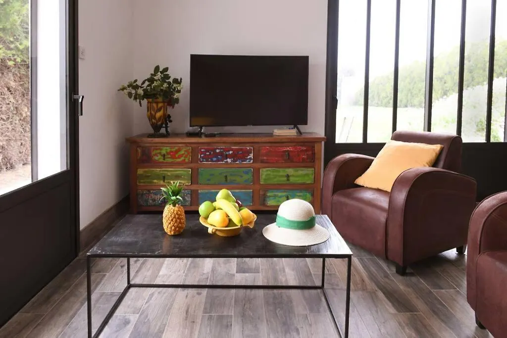 Le Galinie Chic'Art. Un Bel Atelier Avec Piscine Villa Carpentras Frankrijk